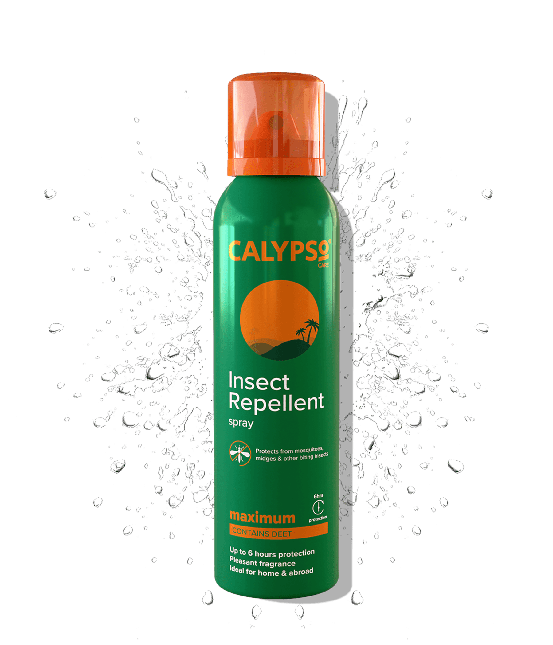 Insect Repellent Spray with DEET